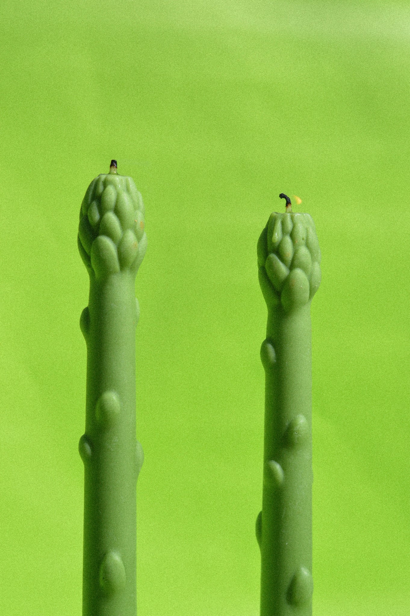 Asparagus Candlestick set of 2