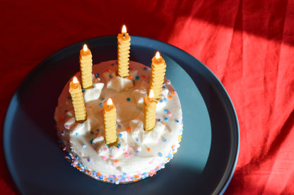 French Fry Birthday Candles